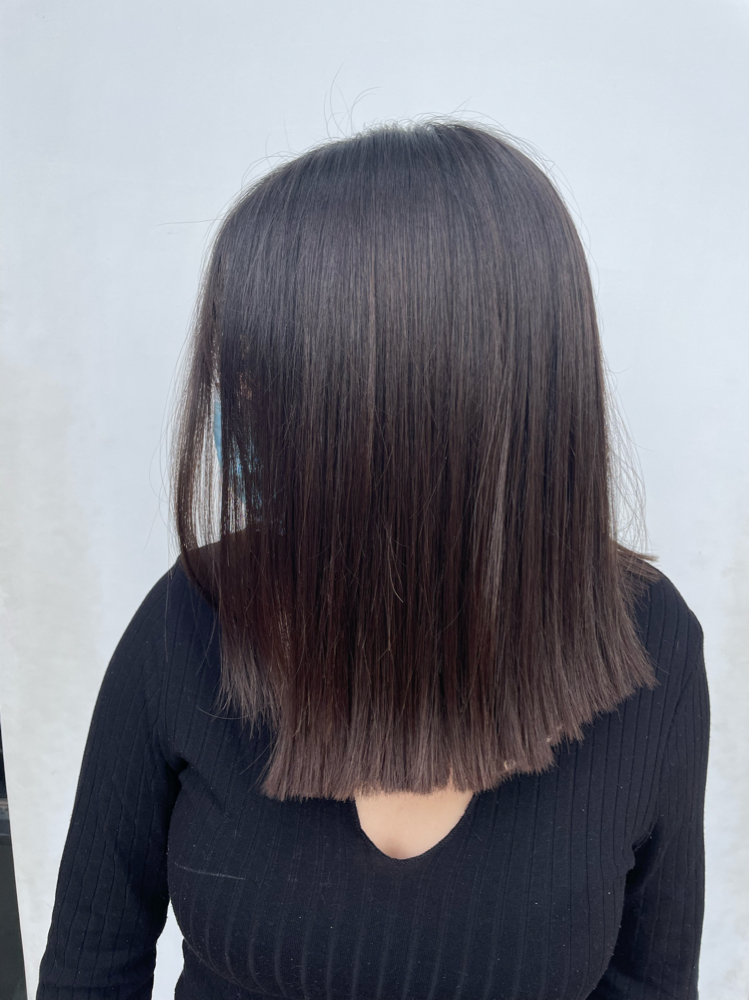 Root Touch Up