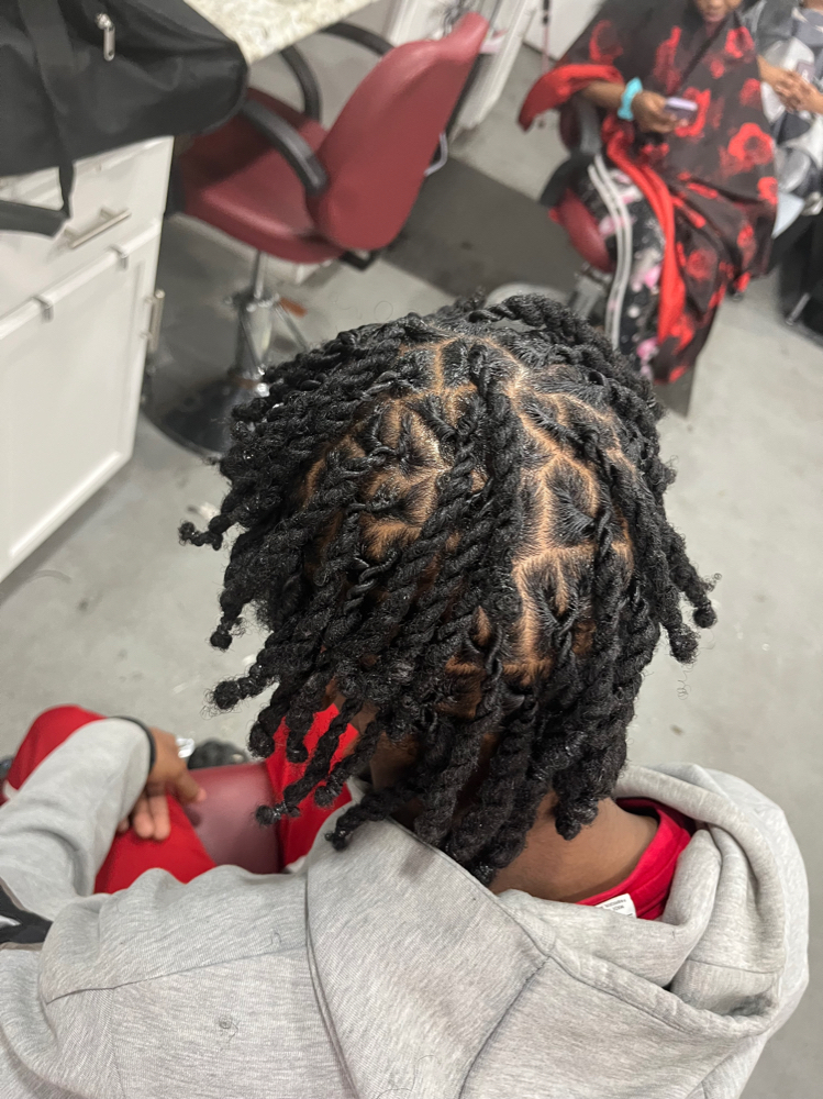 2 strand twists( dreads) at The Hairapist Experience in Mount morris, MI