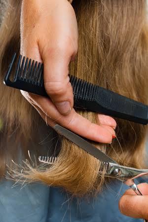 Womans Cut Only at Hair & Lashes By Chelsie in Tazewell, TN