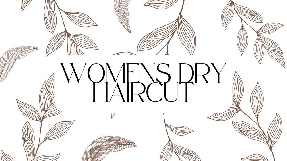 Womens Dry Haircut