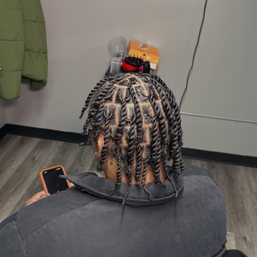 Natural Plaits Or 2 Strand Twists at Styled by Aliyah J LLC in Milwaukee, WI