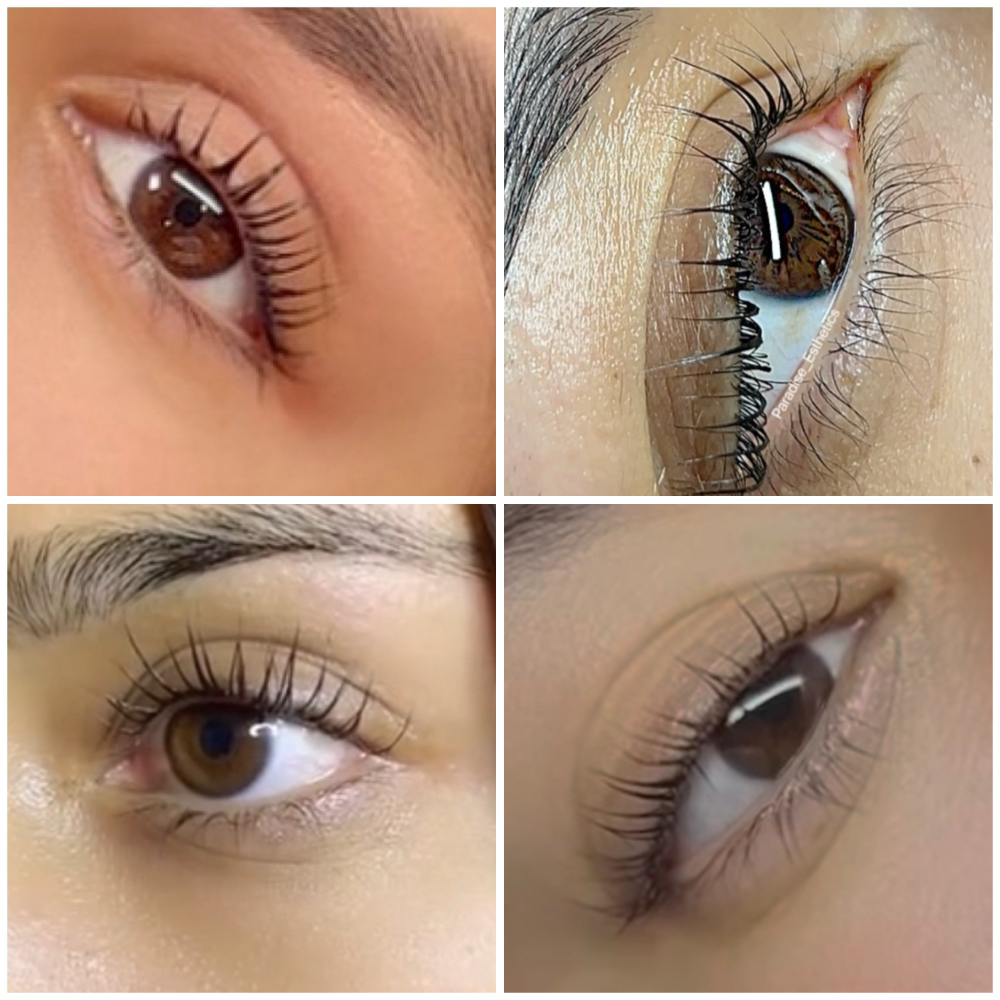 LASH LIFT COURSE