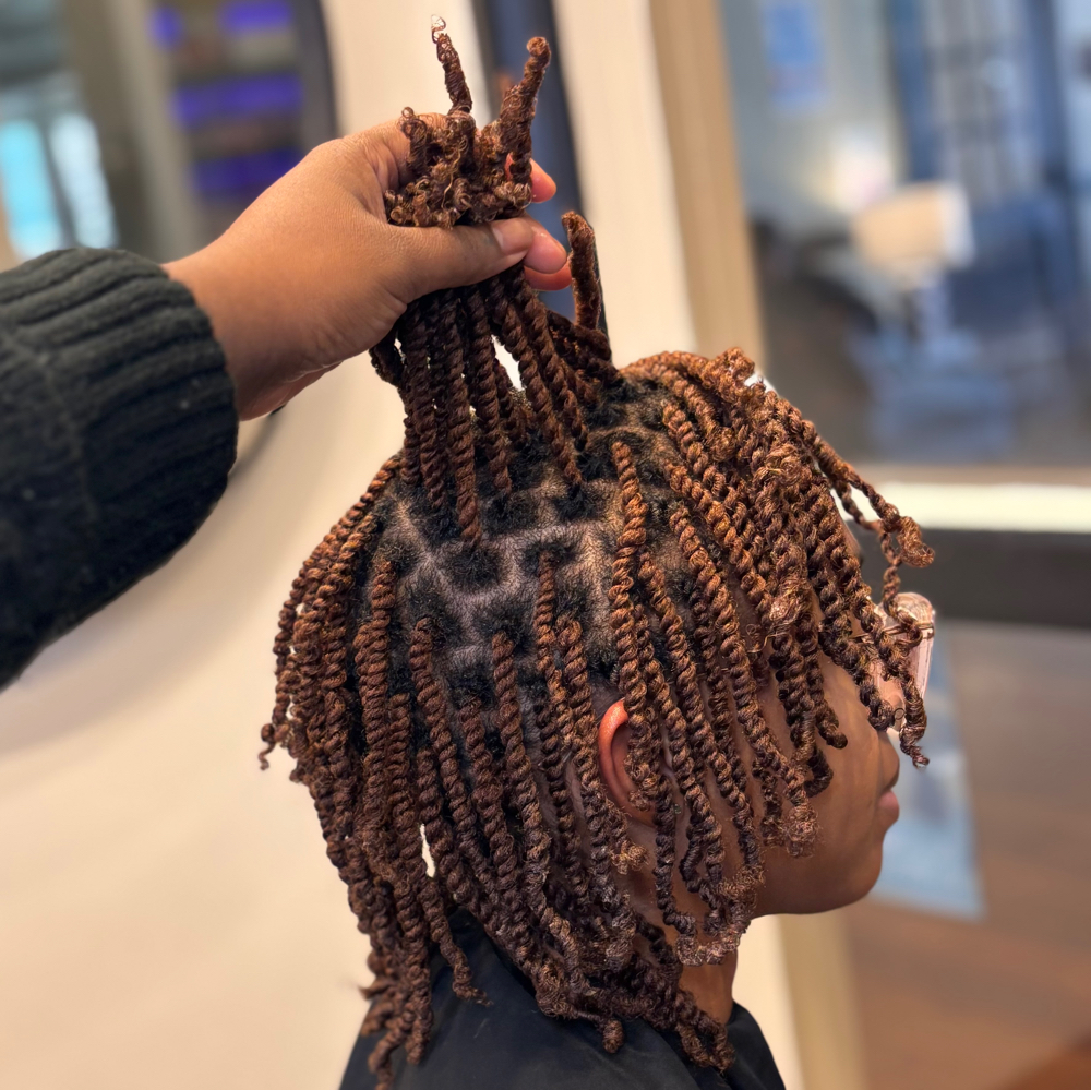 Two Strand Twists / Flat Twists