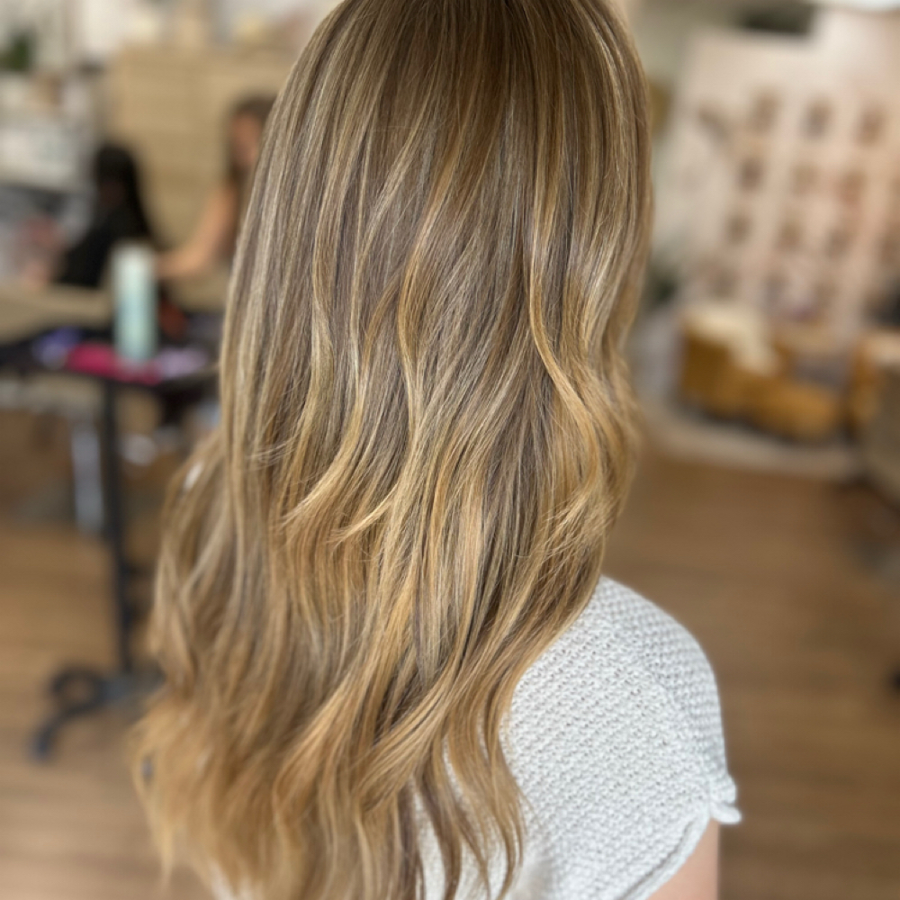 Shampoo & Blowout at Whitney Johnson in Port Charlotte, FL