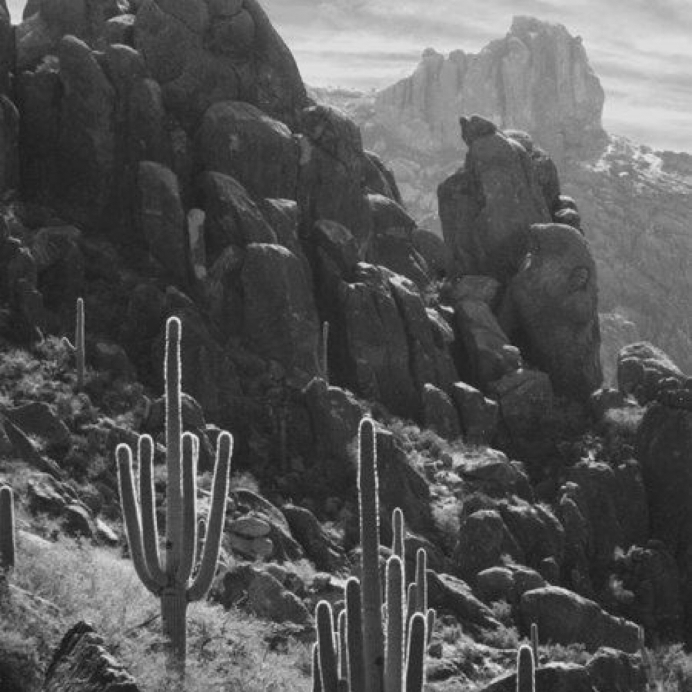 Base Single Color Touch-Up at Salon Idyll in Rochelle, IL