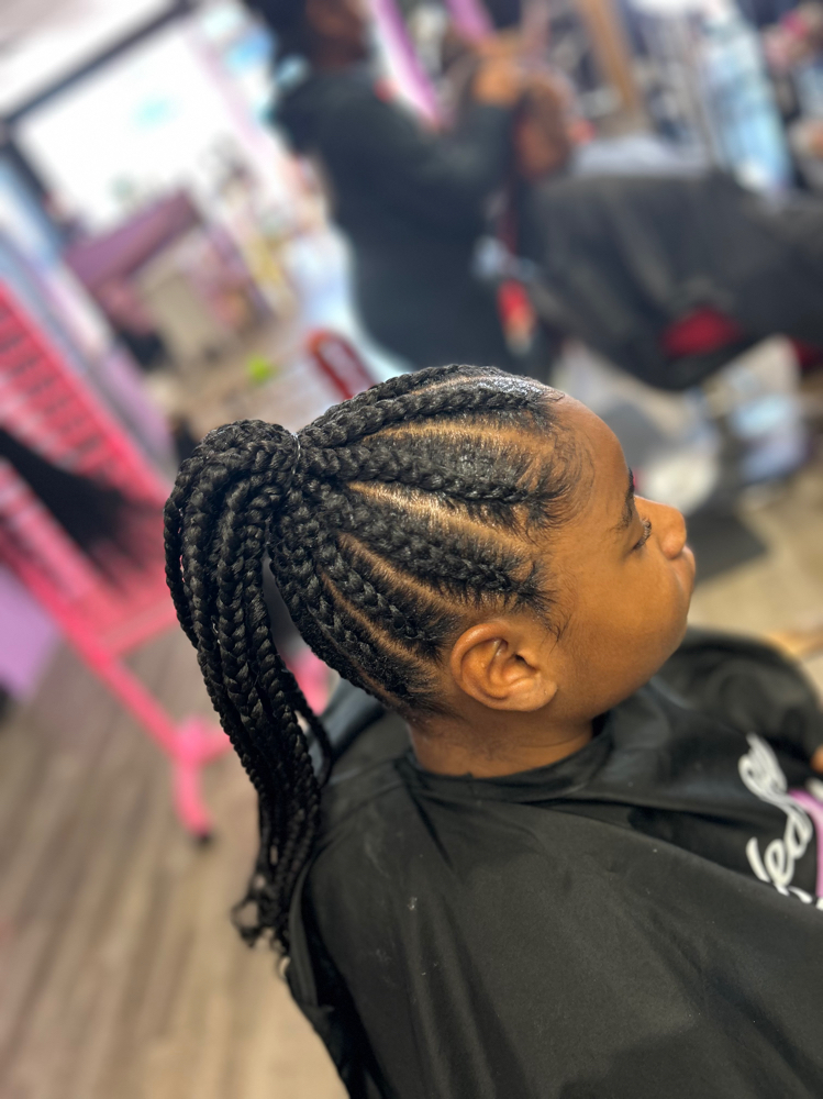 Braided Ponytail