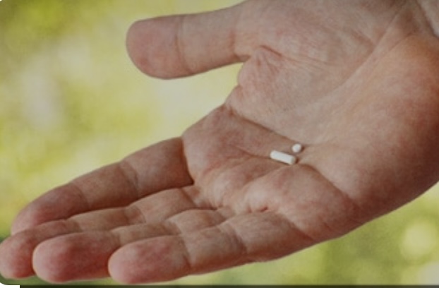 Biote Male Pellet Procedure Small