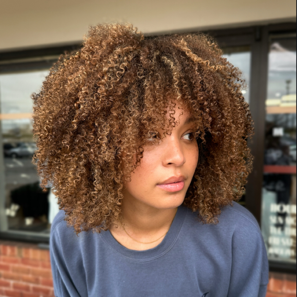 Signature Dimensional Color at Alliecurls in O’Fallon, MO