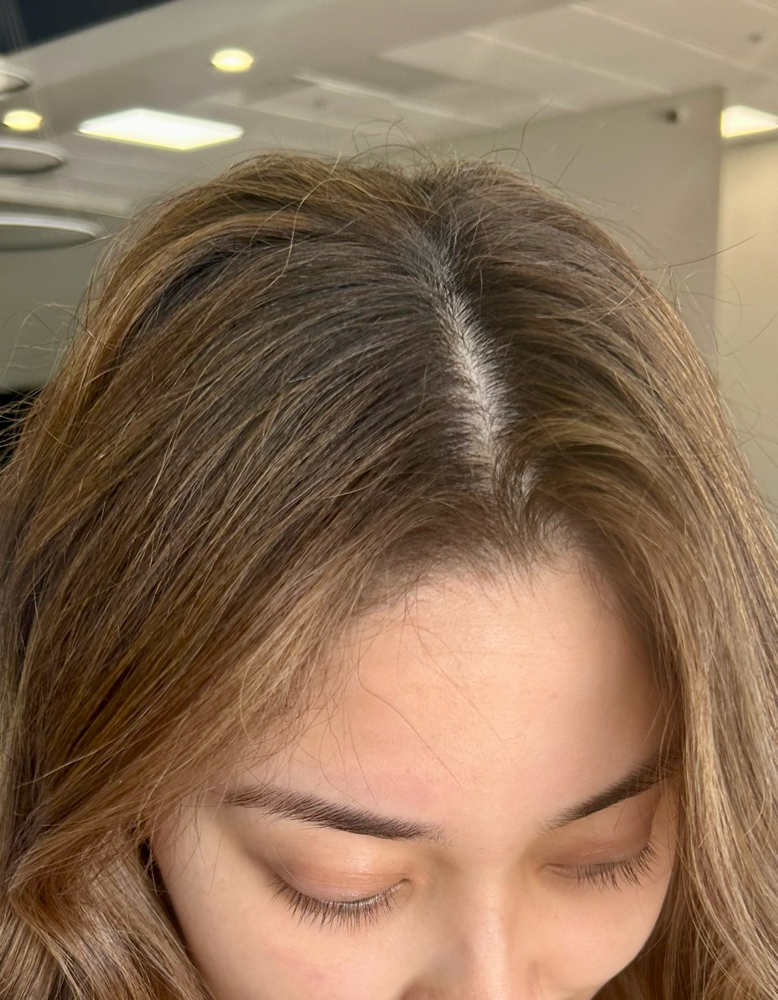 Root Touch Up Bolwdry