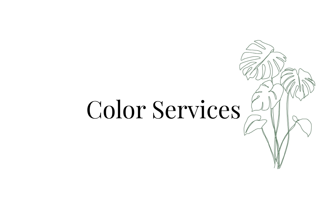 The Color Lab