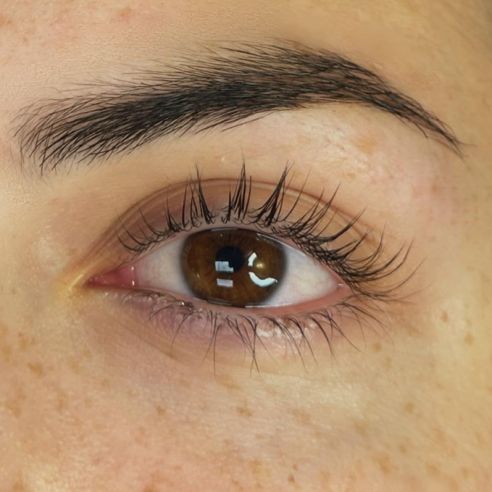 LASH LIFT & LASH TINTING at Beauty Lush in Baton Rouge, LA