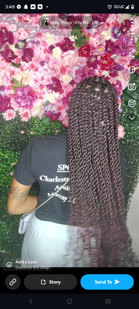 Island Twist