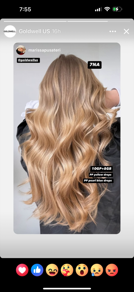 Color Glossing