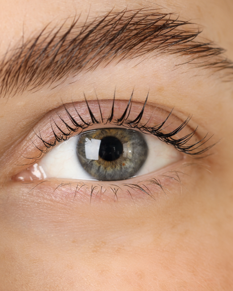 Lash Lift