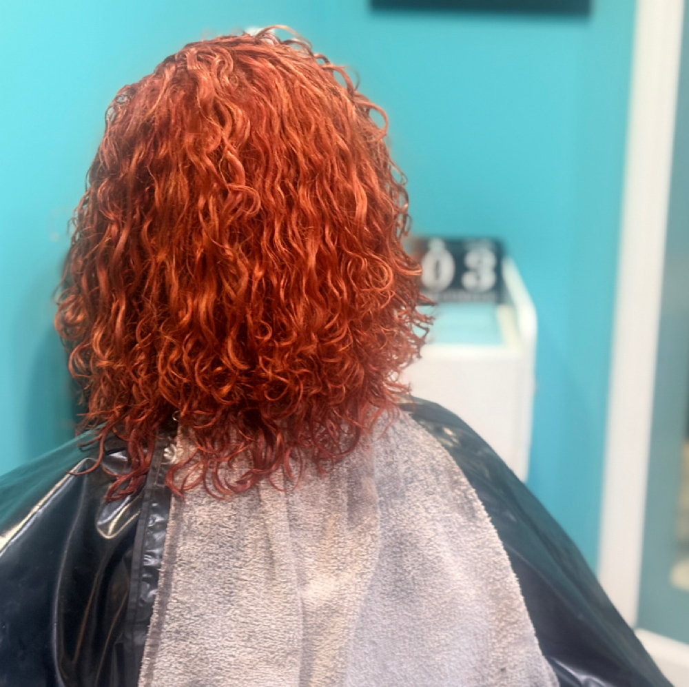 Fresh Color, Precision Haircut & Co at Tonya's Hair Etc 1991 in Fort   Washington, MD