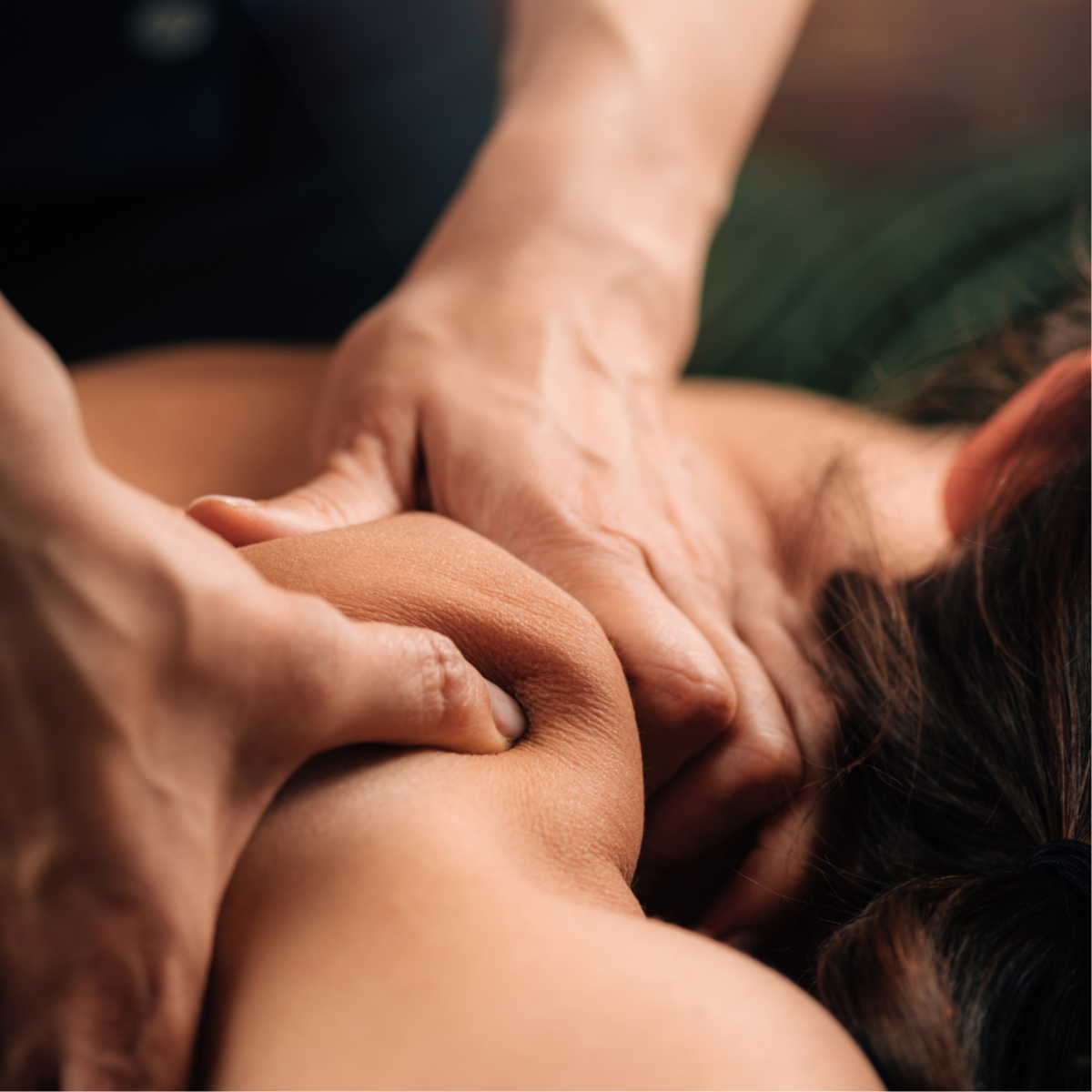 60 Minute Membership Massage at The Rose and Yarrow, LLC in Louisa, VA