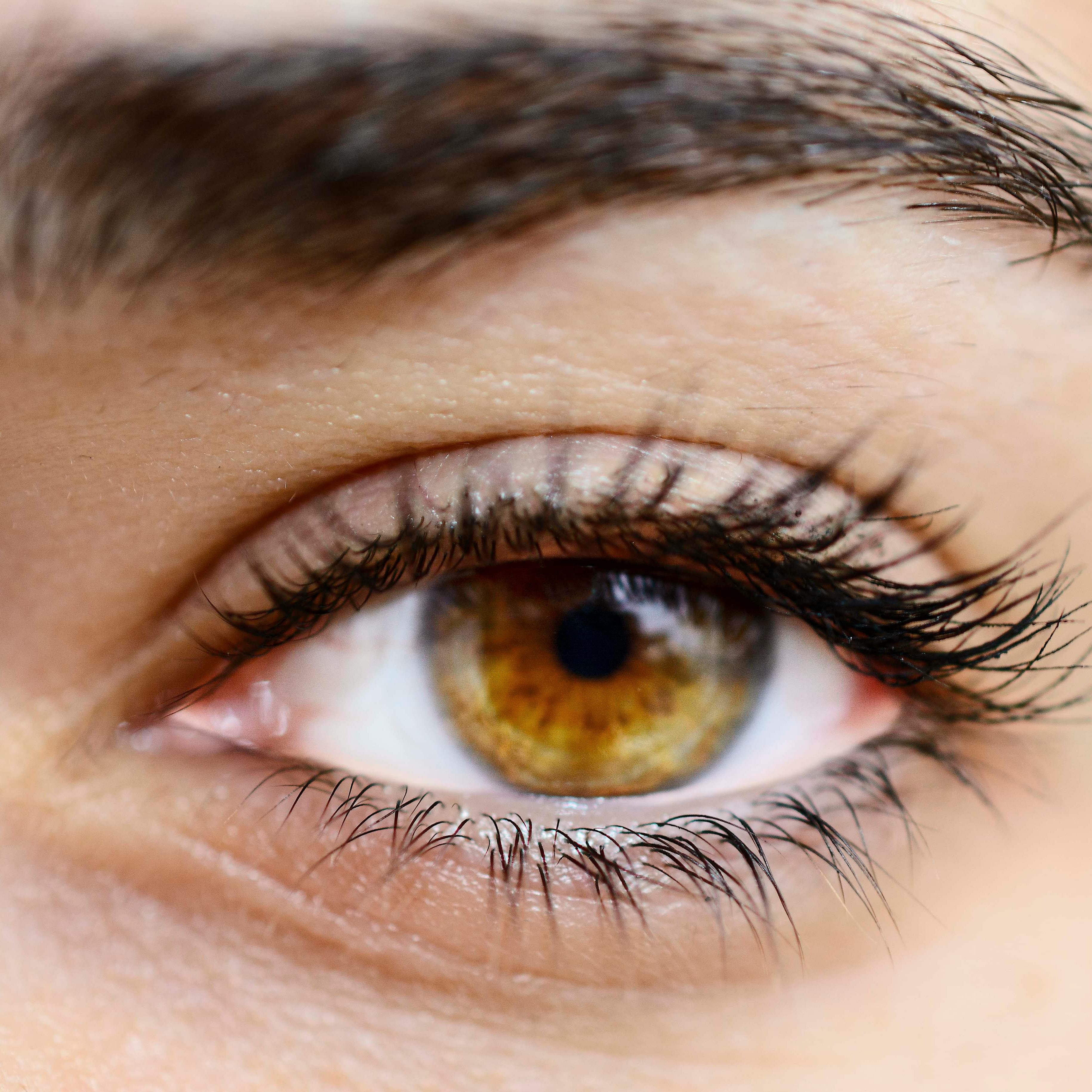 Brow & Lash Lamination at River City Skin Studio in North Chesterfield, VA