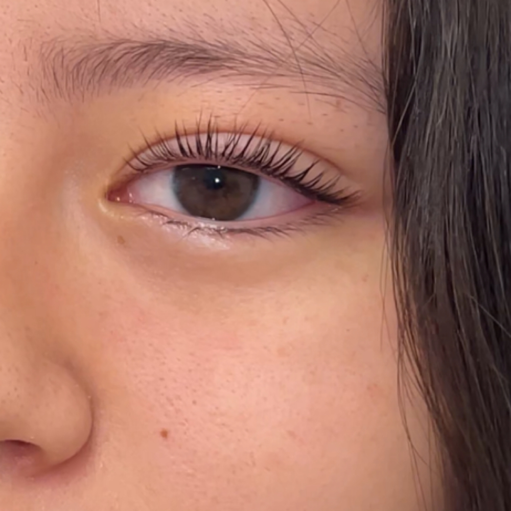 Korean Lash Lift + Tint at Pretty Please Lashes in Tacoma, WA