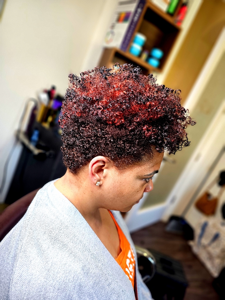 Curly Haircut/Wash N Go