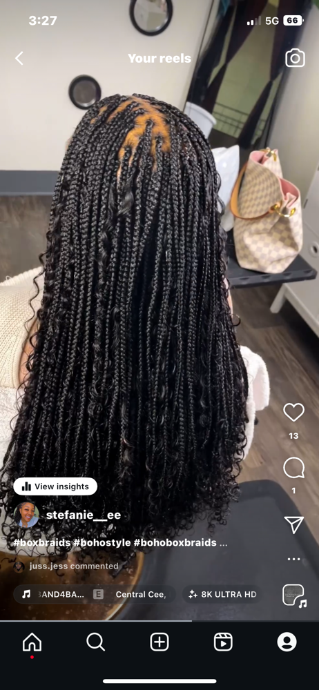 Small Boho Box Braids