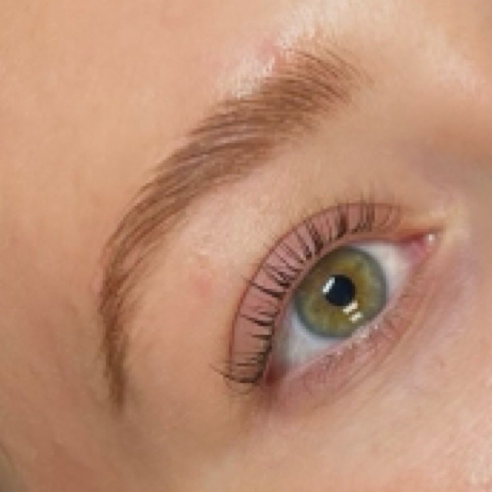 Brow Lamination & Tint at PrettynLashed By Ry in Abilene, TX