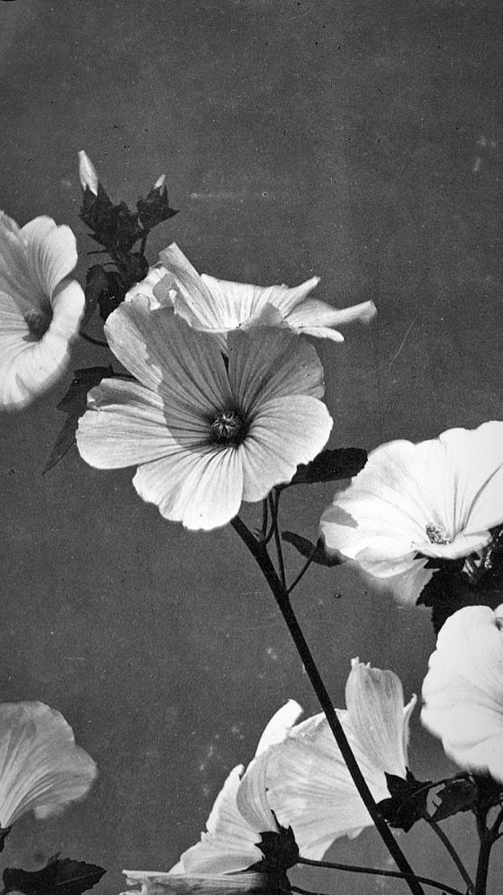 The Renewal Release Massage at Ceremony Esthetics and Wellness in South Pasadena, CA