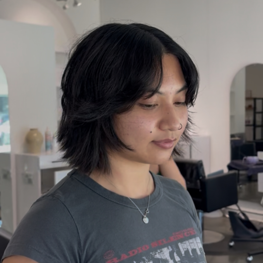 Haircut Short at ShabbyCuts222 in Campbell, CA
