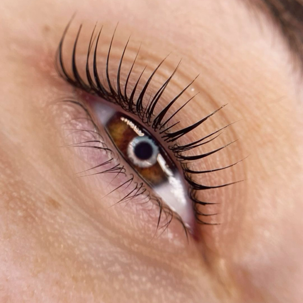 Korean Lash Lift & Tint Special at Dolled by Dalia in Cookeville, TN