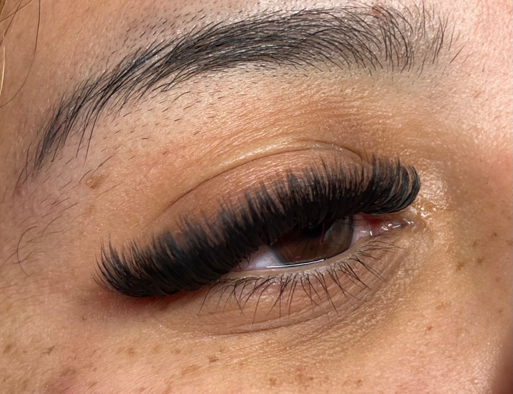 Volume Lashes