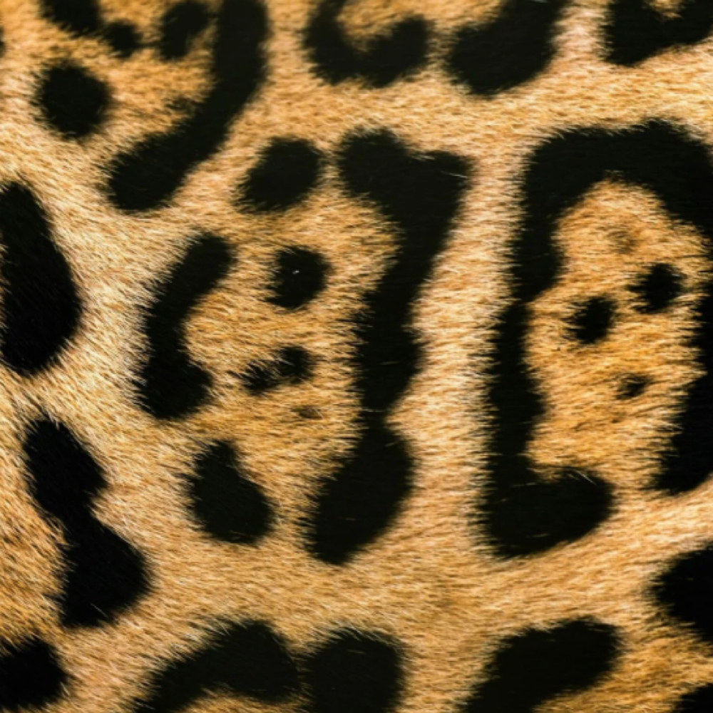 Eyelash Extension Removal at Mini Salon Co. in Bay city, MI