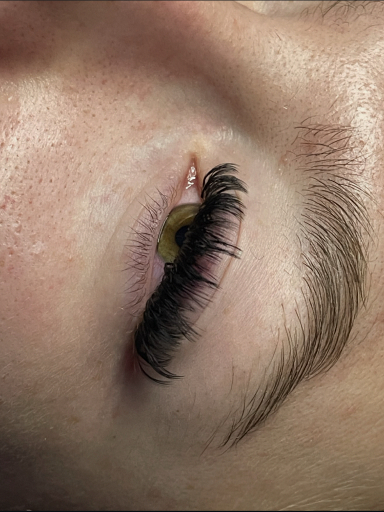 Signature Set Eyelash Extension