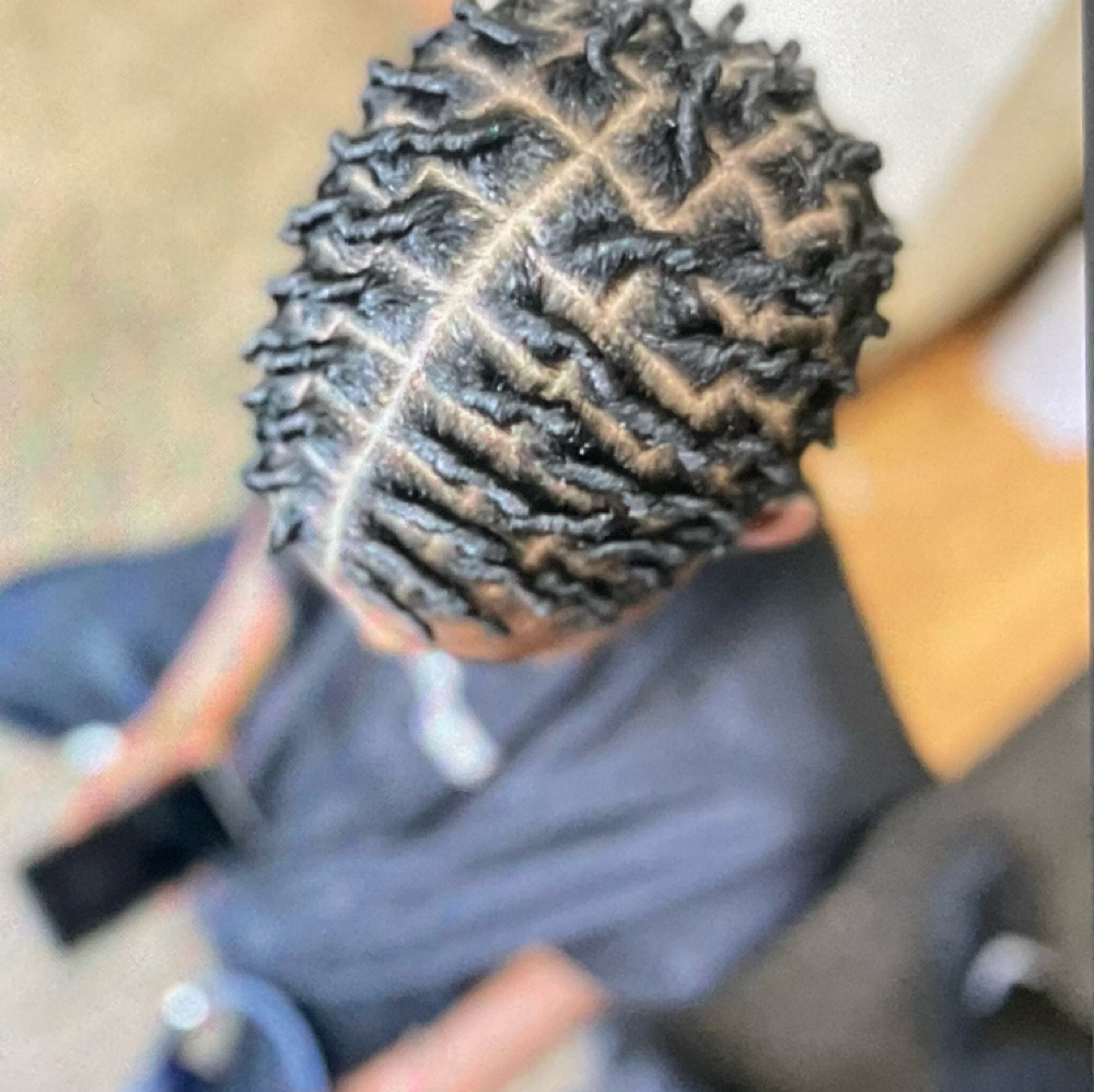 Starter Locs Shoulder Lenght&under at Locs  by queen in Cleveland, OH