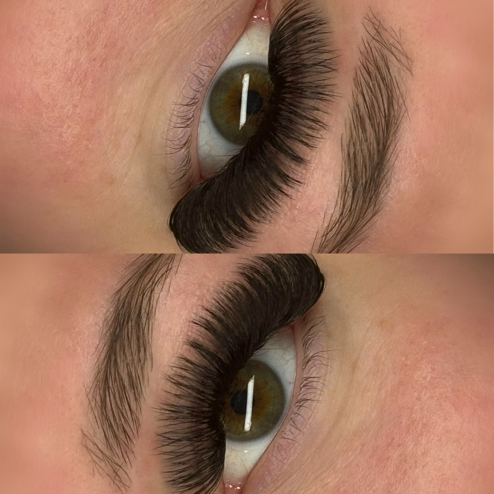Volume 2 Week Fill at XO Lash Studio LLC. in Apollo, PA