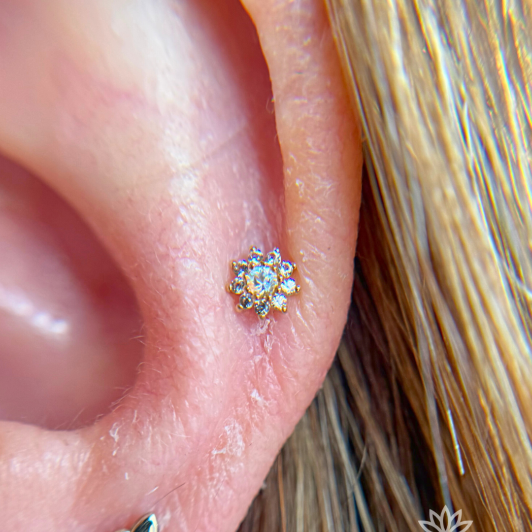 Mid Helix- Piercing at Carribbean Connection in Jacksonville Beach, FL