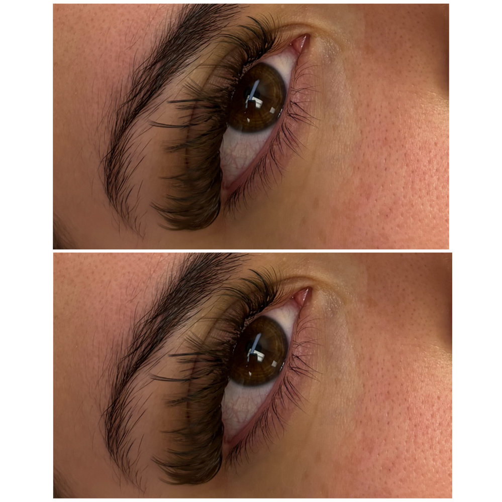 Brown Hybrid Or Volume Fill In