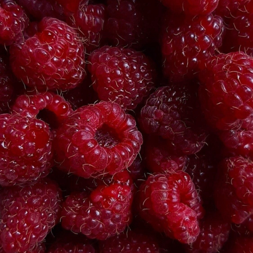 Raspberry Renewal Facial at Holistic Skin By Erica in Somerset, KY