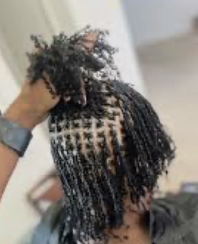 Starter Sista Locs Small/med Grid at BOOKwSNOOK in Roanoke, VA