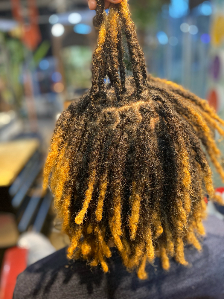 Instant Locs (Full Head)