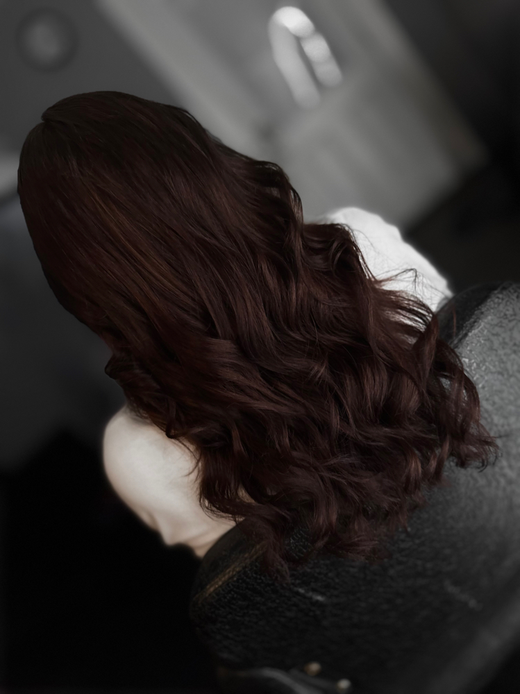 All Over Color (No Bleach) at Hair By Michelle in Houston, TX