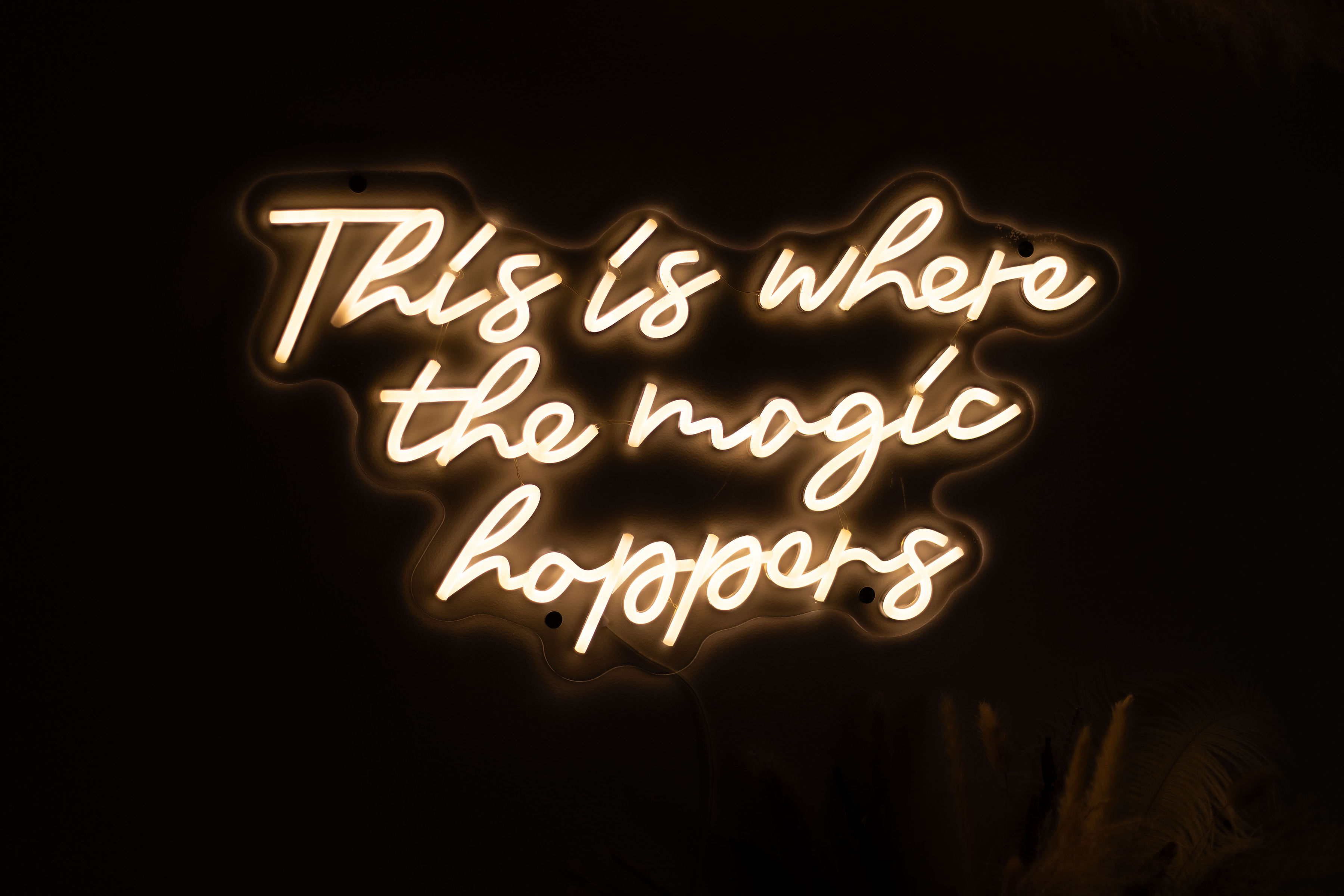 Full Back Wax at Polished Insights Beauty Company in Huntsville, AL