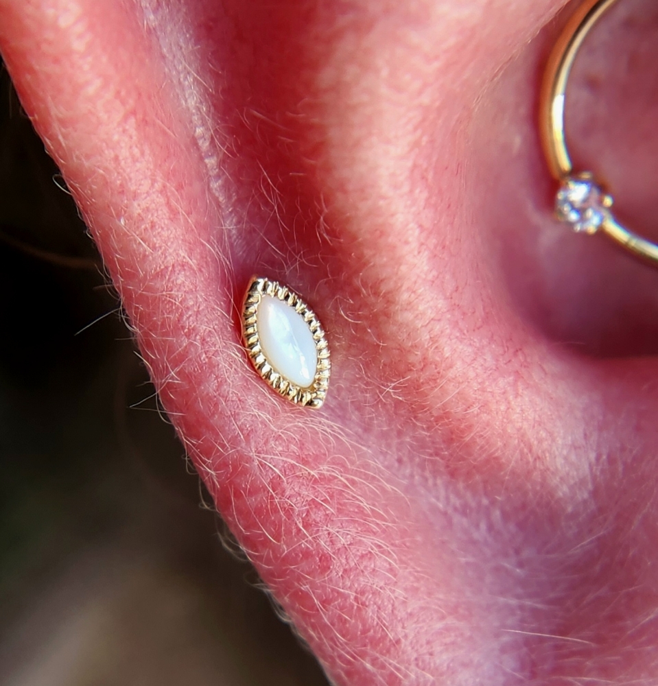 Auricle (Mid-Ear Piercing)