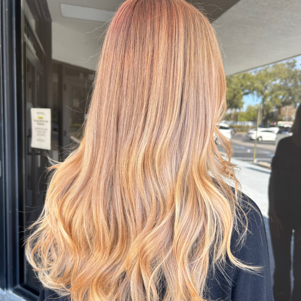 Full Color at Sammi Lindsay Hair in Tampa, FL