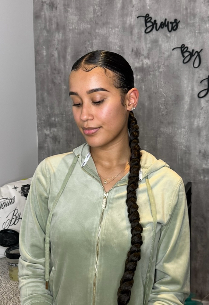 Sleek Braid (With Braiding Hair)