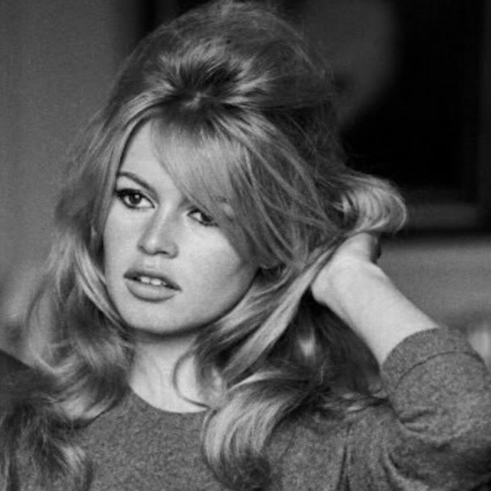 The Shine Up at Shine Salon in Dana Point, CA