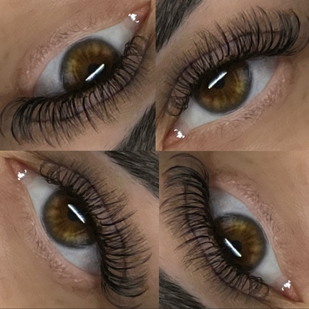 Lash Model