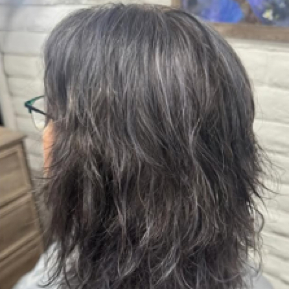 Partial Highlight (Shoulder Length) at Tammy Corral in Fresno, CA