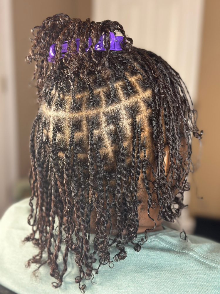 Mini Twists (Natural Hair)