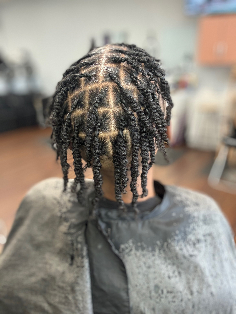 Two Strand Twist Shaved Sides