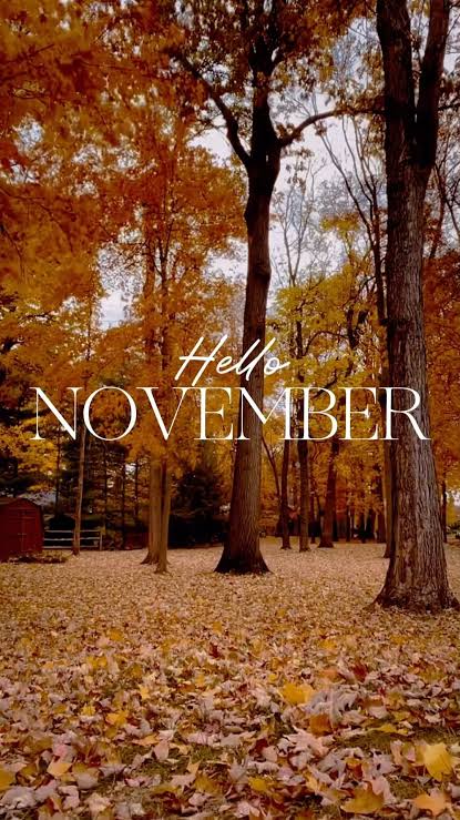 Lash Lift + Tint + Brow Wax