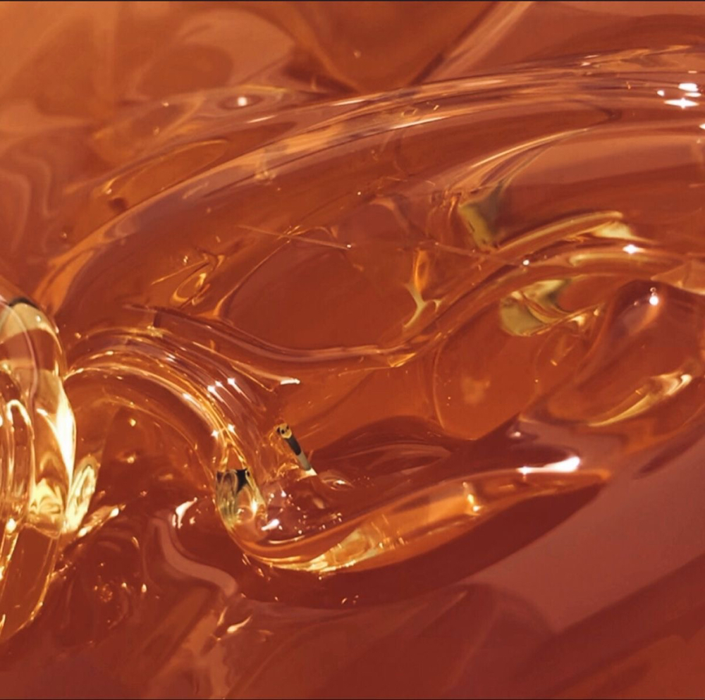 BRAZILIAN at SLICKED in Lufkin, TX